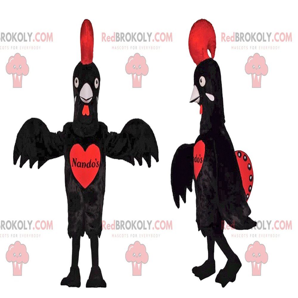 SPOTSOUND Black chicken REDBROKOLY Mascot with a beautiful red crest