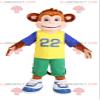 SPOTSOUND Brown monkey REDBROKOLY Mascot in sportswear. Monkey costume view 1