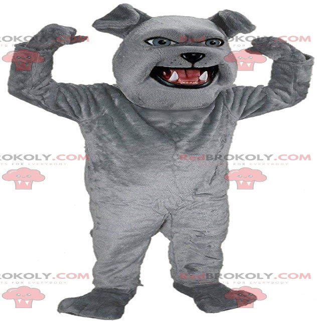 SPOTSOUND Giant bulldog REDBROKOLY Mascot, plush gray dog costume