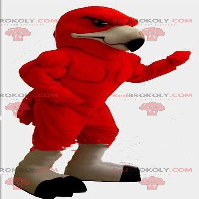 SPOTSOUND Red eagle REDBROKOLY Mascot, bird costume, vulture costume