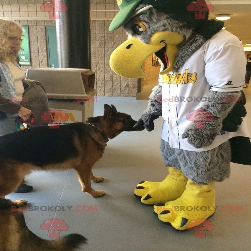 SPOTSOUND Gray and yellow eagle REDBROKOLY Mascot all hairy