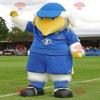 SPOTSOUND REDBROKOLY Mascot large white and yellow bird in blue outfit view 1