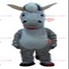 SPOTSOUND REDBROKOLY Mascot pretty brown and white tabby zebra view 1
