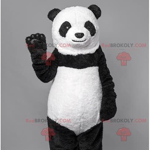 SPOTSOUND Black and white bear panda REDBROKOLY Mascot. Bear costume