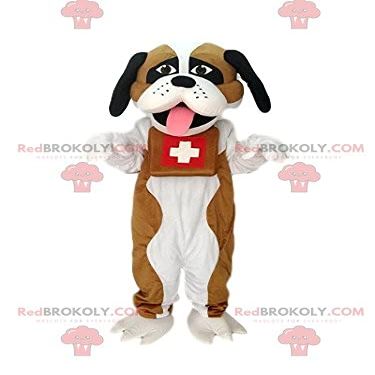 SPOTSOUND REDBROKOLY Mascot of Saint Bernard. Costume of Saint Bernard.
