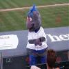 SPOTSOUND Gray and blue bird REDBROKOLY Mascot in sportswear