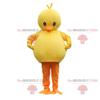 SPOTSOUND Yellow and orange plump chick REDBROKOLY Mascot. Plump bird costume