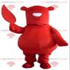 SPOTSOUND Big red bear REDBROKOLY Mascot with a leaf in hand