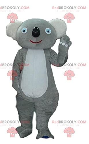SPOTSOUND Gray koala REDBROKOLY Mascot, costume Australia, Australian animal
