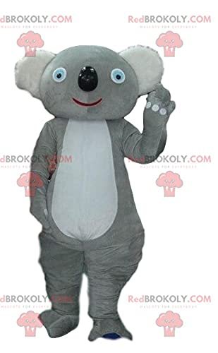SPOTSOUND Gray koala REDBROKOLY Mascot, costume Australia, Australian animal