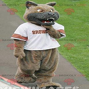SPOTSOUND Brown and gray wolf dog REDBROKOLY Mascot looking nasty