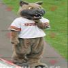 SPOTSOUND Brown and gray wolf dog REDBROKOLY Mascot looking nasty view 1