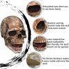 CosTribe Creepy Full Head Skull Mask with Moving Jaw Halloween Scary Latex Helmet for Cosplay Party Props (Grey) view 3