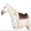 CHALLENGER Horse 32" x 30" Western Contoured Wool Felt Therapeutic Saddle Pad Brown 39218BR view 3