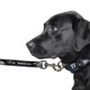 Littlearth NFL Baltimore Ravens Pet Premium Lead, Team Color, Inch view 3