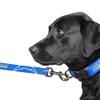 Littlearth NFL Los Angeles Chargers Pet Premium Lead, Team Color, 3Q view 3