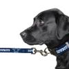Littlearth NFL Dallas Cowboys Pet Premium Lead, Team Color, 3Q view 3