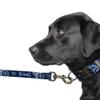 Littlearth NFL Tennessee Titans Pet Premium Lead, Team Color, Inch view 3