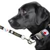 Littlearth NFL Pittsburgh Steelers Pet Premium Lead, Team Color, Inch view 3