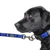 Littlearth NFL Los Angeles Rams Pet Premium Lead, Team Color, 3Q view 3