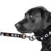 Littlearth NFL Cincinnati Bengals Pet Premium Lead, Team Color, 3Q view 3