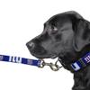 Littlearth New York Giants NFL Premium Pet Leash view 3