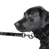 Littlearth Atlanta Falcons NFL Premium Pet Leash view 3