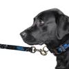 Littlearth NFL Carolina Panthers Pet Premium Lead, Team Color, 3Q view 3