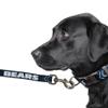 Littlearth NFL Chicago Bears Pet Premium Lead, Team Color, 3Q view 3