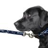 Littlearth NFL New England Patriots Pet Premium Lead, Team Color, 3Q view 3