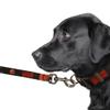 Littlearth NFL Cleveland Browns Pet Premium Lead, Team Color, 3Q view 3