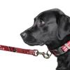 Littlearth Arizona Cardinals NFL Premium Pet Leash view 3