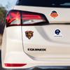 NCAA Georgia Southern Eagles 3-Piece Retro Spirit Decals Retro Decal Set view 2