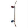 Darkstar Skateboard Complete Wordmark Red/Blue 8.0" Assembled view 2