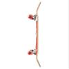 Almost Skateboard Complete Neo Express Red 8.0" Assembled view 2