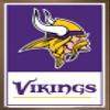 NFL Minnesota Vikings - Logo 21 Wall Poster, 34L" x 22.4W", Bronze Framed Version view 1
