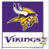 NFL Minnesota Vikings - Logo 21 Wall Poster with Pushpins view 1
