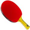 Counterstrike Alpha Dog Ping Pong Paddle Set | 6 Balls | Hard Protective Case | Professional Table Tennis Paddle | ITTF Approved | (Red Paddle Hard Case) view 2