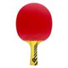 Counterstrike Alpha Dog Ping Pong Paddle Set | 6 Balls | Hard Protective Case | Professional Table Tennis Paddle | ITTF Approved | (Red Paddle Hard Case) view 3