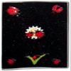 Passport Cover, Vaccination Passport Holder, Vaccine Cardholder. Covid 19 Card Protector, Travel Wallet, Sturdy Vinyl (Lady Bug) view 1