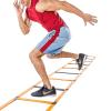Agility Ladder 5M Multifunction Agile Training Ladder, Fixed Agility Ladder, Exercise Trainer Kit, for Outdoor/IndoorTraining Scenarios view 1