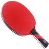 Counterstrike Red Widow Ping Pong Paddle, 6 Balls, & Hard Protective Case | Professional Table Tennis Paddle | Carbon Table Tennis Paddle | ITTF Approved (Silver Paddle Hard Case) view 2