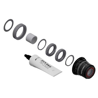 DT Swiss Ratchet LN Freehub Body Upgrade Kit - SRAM XD, Standard, Aluminum, Sealed Bearing, 36T