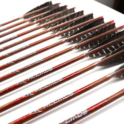 Spine 600 Arrow 25 Inch Arrow Target Practice Arrow Hunting Arrow Carbon Arrows Compound Bow Recurve Bow Adult Youth Archery Indoor Outdoor Shooting Field Tip 12pc Wooden Wood-Like