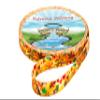 Country Brook Design - Autumn Wind Polyester Webbing (1/2 Inch, 20 Yards) view 4