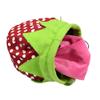 Strawberry Chalk Bag with Carabiner Drawstring for Rock Climbing Weight Lifting Rock Climbing Bag Chalkbag view 4