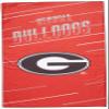 Northwest NCAA Georgia Bulldogs Beach Towel & Mesh Bag Set, 32" x 64", Splitter view 1