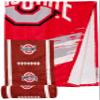 Northwest NCAA Ohio State Buckeyes Unisex-Adult Comfort Towel with Foam Pillow, 32" x 64", Cycle view 2