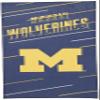 Northwest NCAA Michigan Wolverines Unisex-Adult Beach Towel & Mesh Bag Set, 32" x 64", Splitter view 1