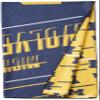 Northwest NCAA Michigan Wolverines Unisex-Adult Beach Towel & Mesh Bag Set, 32" x 64", Splitter view 2